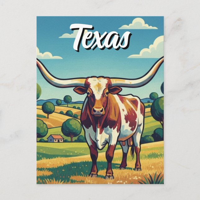 Texas-Langhorn Postkarte (Vorderseite)