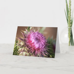 Texas Lila Thistle Grußkarte Karte