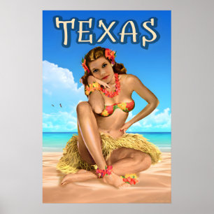 Texas Lone Star Reiseplakat Seeadler Angourie Poster