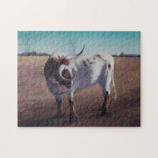 Texas Longhorn