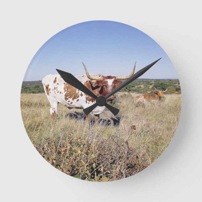 Texas Longhorn Breed (photo) Runde Wanduhr (Vorderseite)