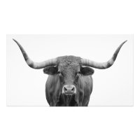 Texas Longhorn Bull Schwarz-weiß