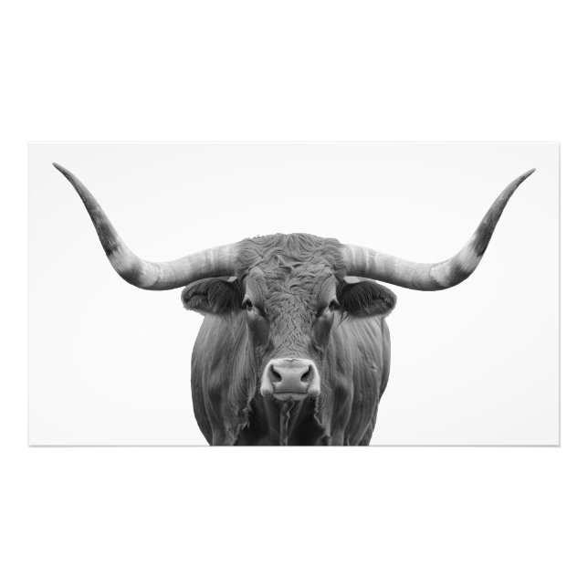 Texas Longhorn Bull Schwarz-weiß Fotodruck (Vorne)