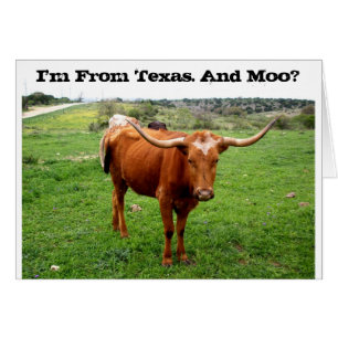Texas Longhorn mit lustigem Texas-Sprichwort