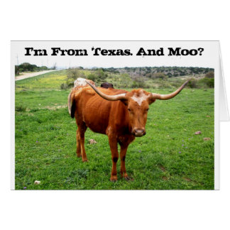 Texas Longhorn mit lustigem Texas-Sprichwort