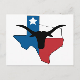 Texas Longhorn Postkarte