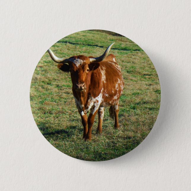 Texas Longhorn Rind Kuh Foto Rustikal Button (Vorderseite)