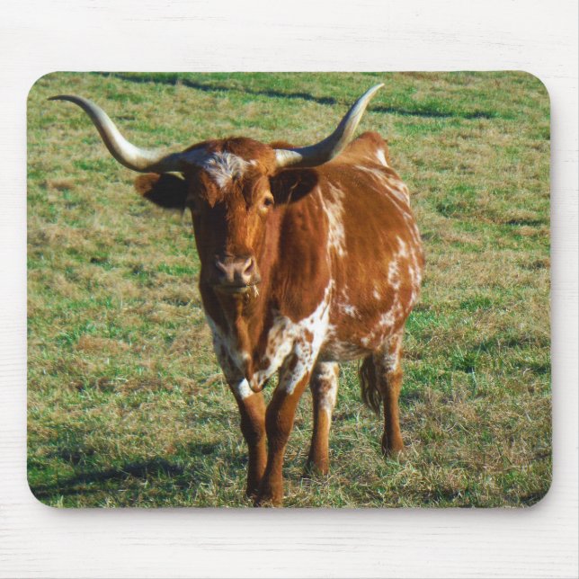 Texas Longhorn Rind Kuh Foto Rustikal Mousepad (Vorne)