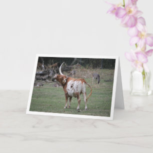 Texas Longhorn-Rinder Karte