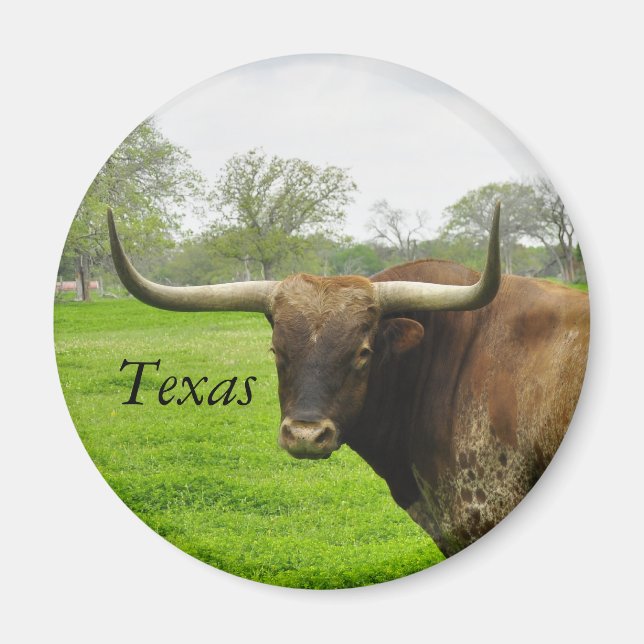 Texas Longhorn Round Magnet (Vorne)