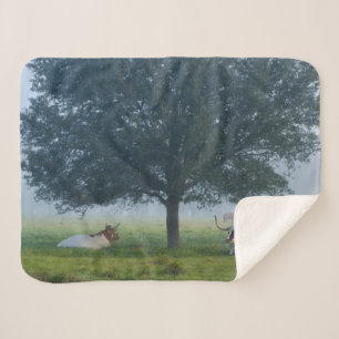 TEXAS LONGHORNS SHERPADECKE