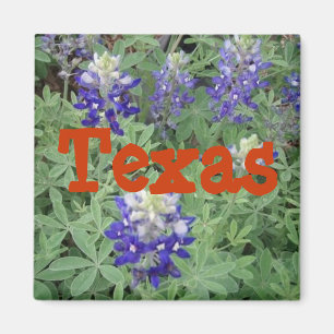 Texas-Magnet Magnet
