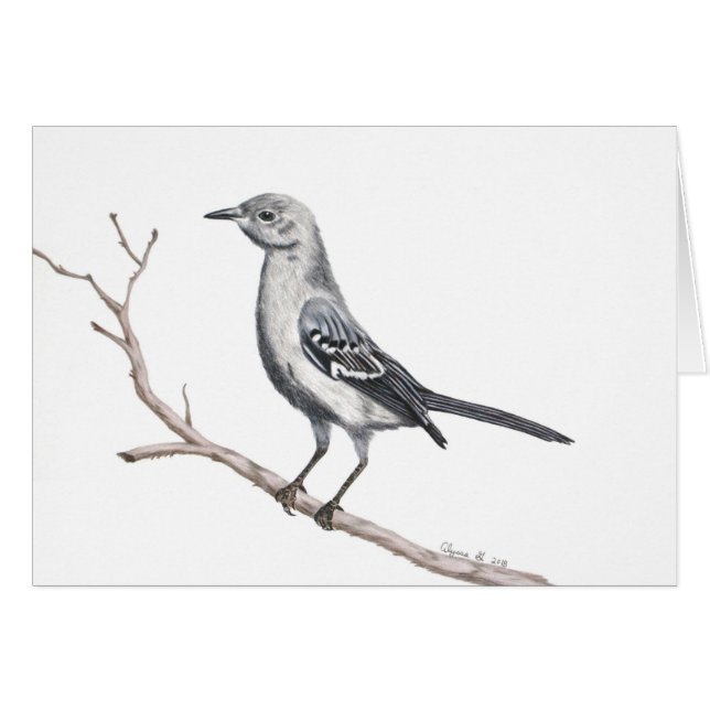 Texas Mockingbird Inspiration petite carte (Devant Horizontal)