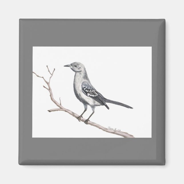 Texas Mockingbird Magnet (Vorne)