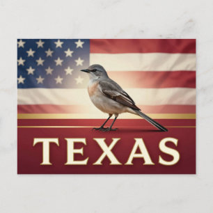 Texas Northern Mockingbird Amerikanisches Erbe Postkarte