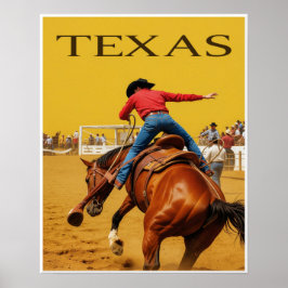 Texas Plakat