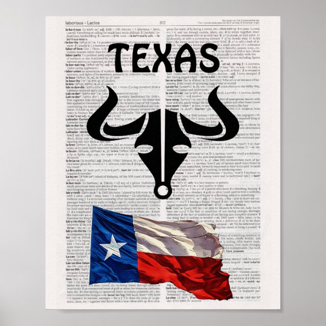 TEXAS-Poster Poster (Vorne)