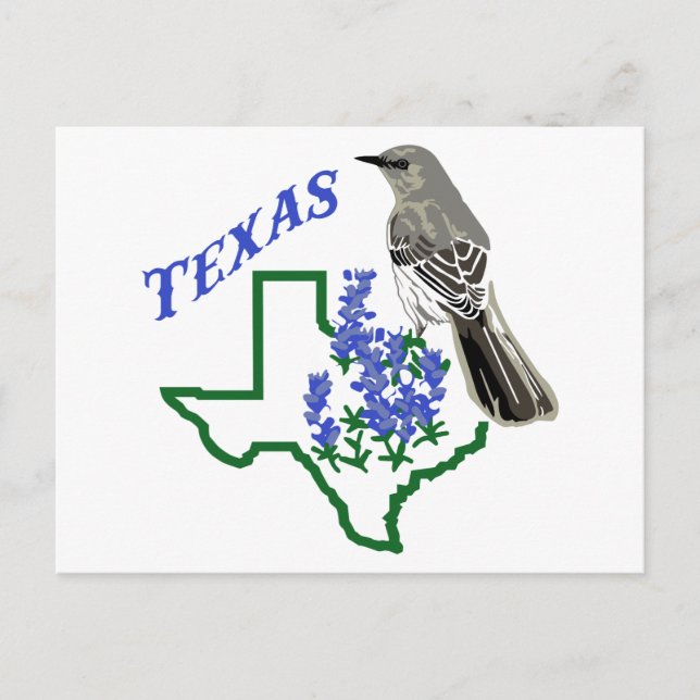Texas Postkarte (Vorderseite)