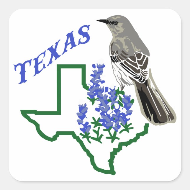 Texas Quadratischer Aufkleber (Vorderseite)
