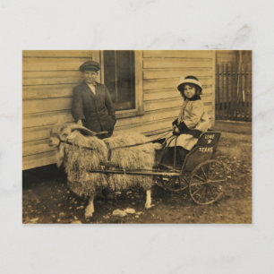 Texas Ride Postkarte