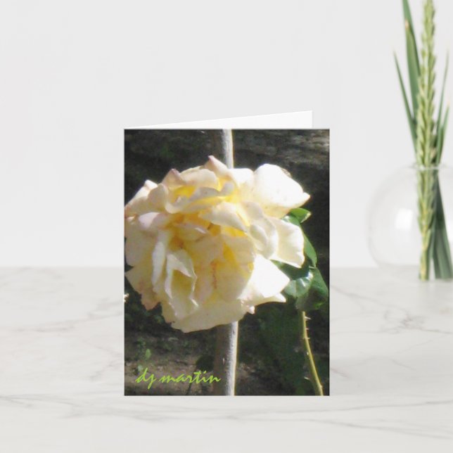 Texas-Rose Karte (Vorderseite)