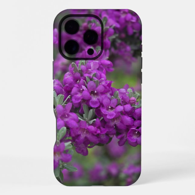 Texas Sage Iphone Case 16 Pro Max Hülle (Rückseite)