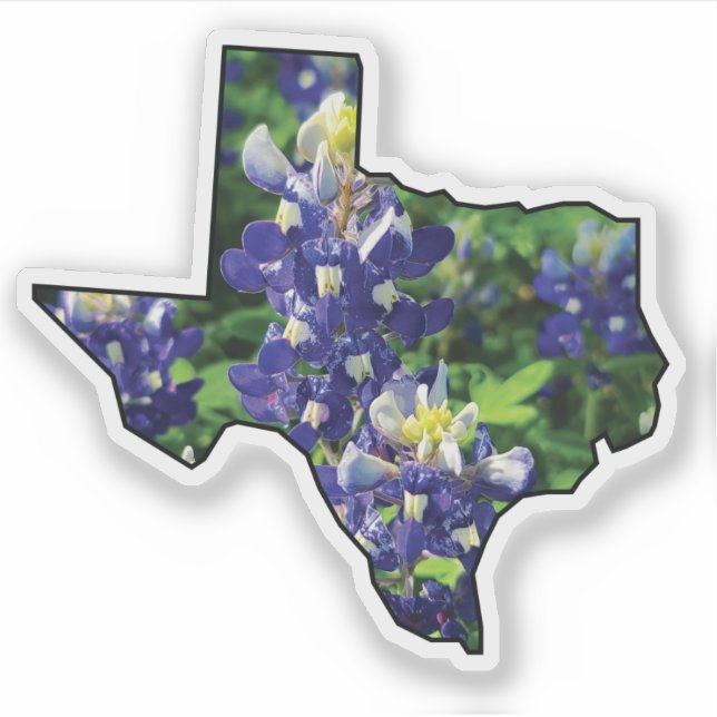 Texas Staat Kontur mit Bluebonnets Aufkleber (Vorderseite)