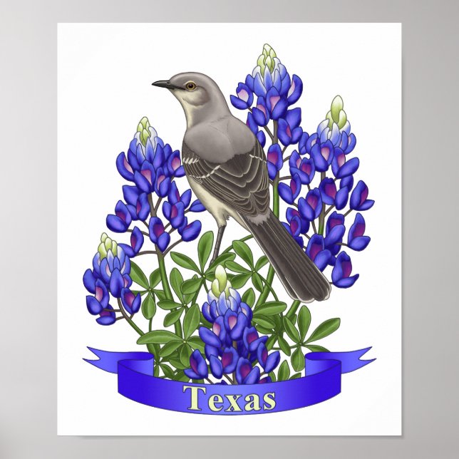 Texas Staat Mockingbird & Bluebonnet Blume Poster (Vorne)