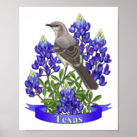 Texas Staat Mockingbird & Bluebonnet Blume