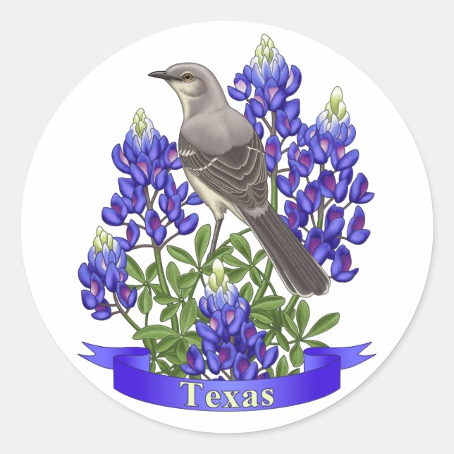 Texas Staat Mockingbird & Bluebonnet Blume Runder Aufkleber (Vorderseite)