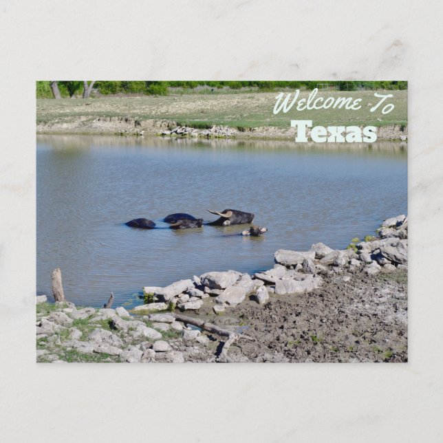 Texas Staat Postkarte (Vorderseite)