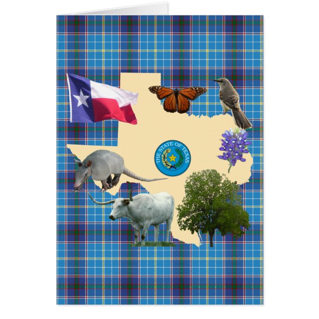 Texas Staat Symbole (Vorne)