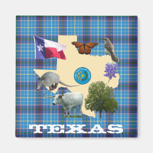Texas Staat Symbole Magnet