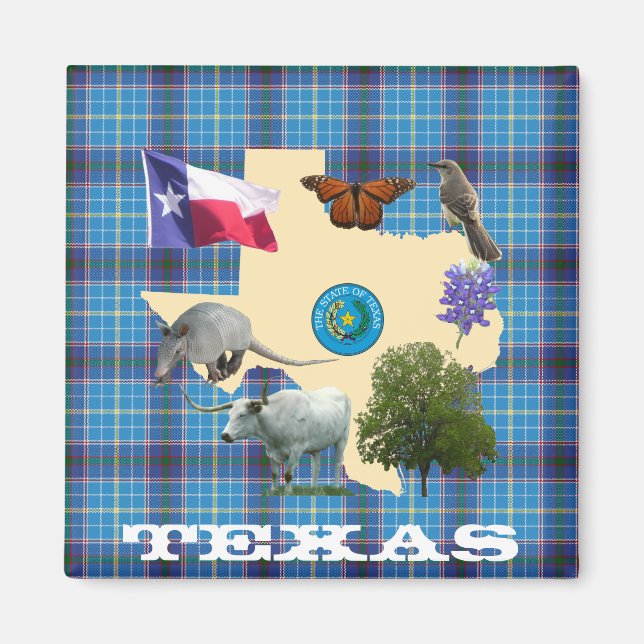 Texas Staat Symbole Magnet (Vorne)