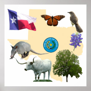 Texas Staat Symbole Poster