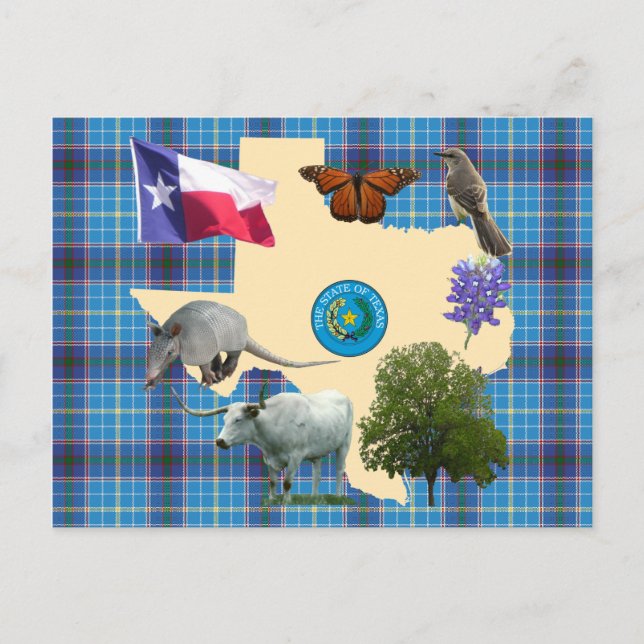 Texas Staat Symbole Postkarte (Vorderseite)