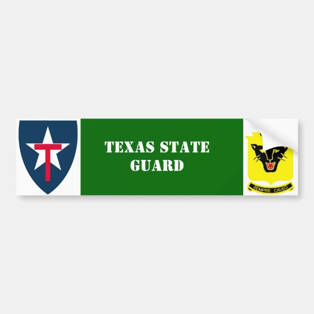 Texas-Staats-Schutz-4. Ausrichtung Autoaufkleber (Vorne)