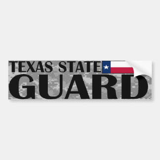 Texas-Staats-Schutz-Autoaufkleber Autoaufkleber