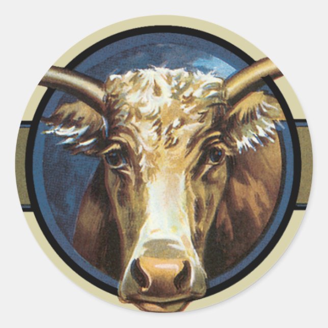 Texas Steer Longhorn Runder Aufkleber (Vorderseite)
