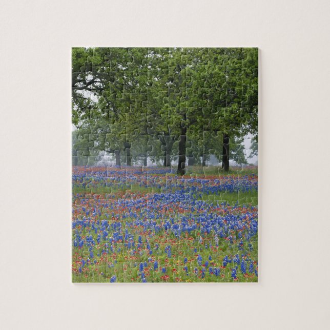 Texas, Texas Hill Country, Texas Paintbrush und (Vertikal)