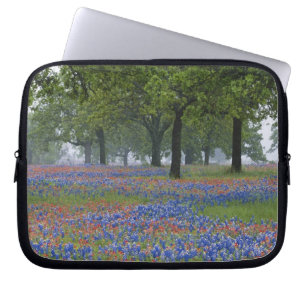 Texas, Texas Hill Country, Texas-Pinsel und Laptopschutzhülle