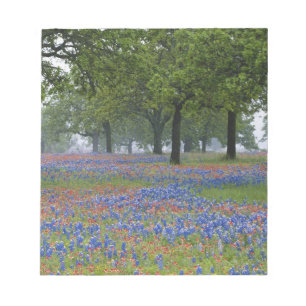 Texas, Texas Hill Country, Texas-Pinsel und Notizblock