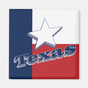 Texas USA State Travel Souvenir Frigo Magnet