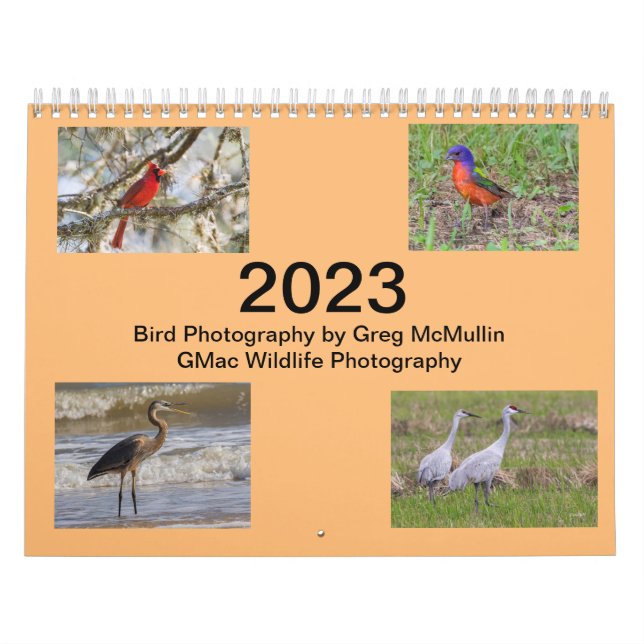 Texas-Vogelkalender 2023 Kalender (Titelbild)