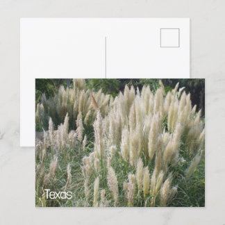 Texas Wild Blume Postkarte