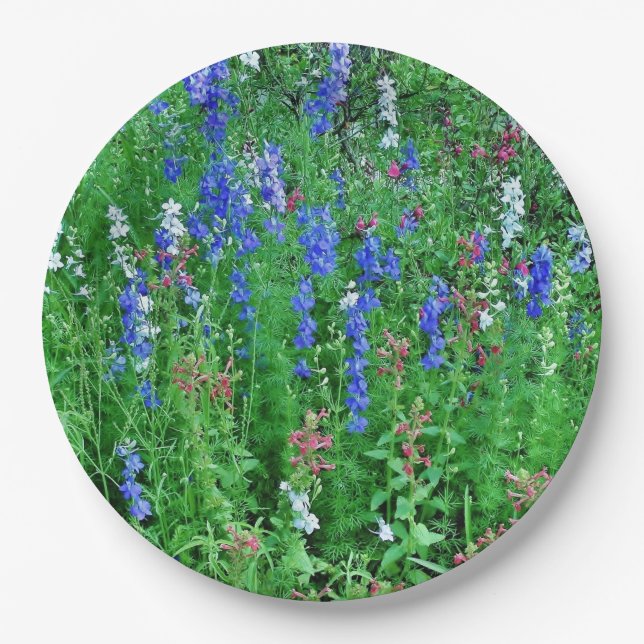 Texas Wildblume Field Paper Teller (Vorderseite)