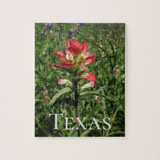 Texas-Wildblumen