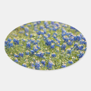 Texas Wildblumen Bluebonnets Digital Painting Ovaler Aufkleber