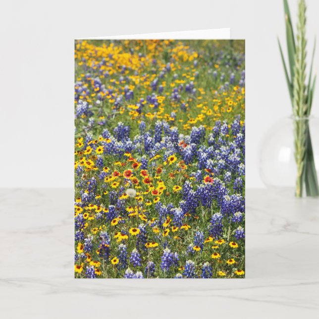 Texas-Wildblumen durch Cynthia Wenslow Karte (Vorderseite)