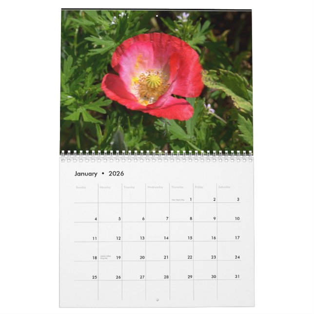 Texas-Wildblumen Kalender (Jan 2026)
